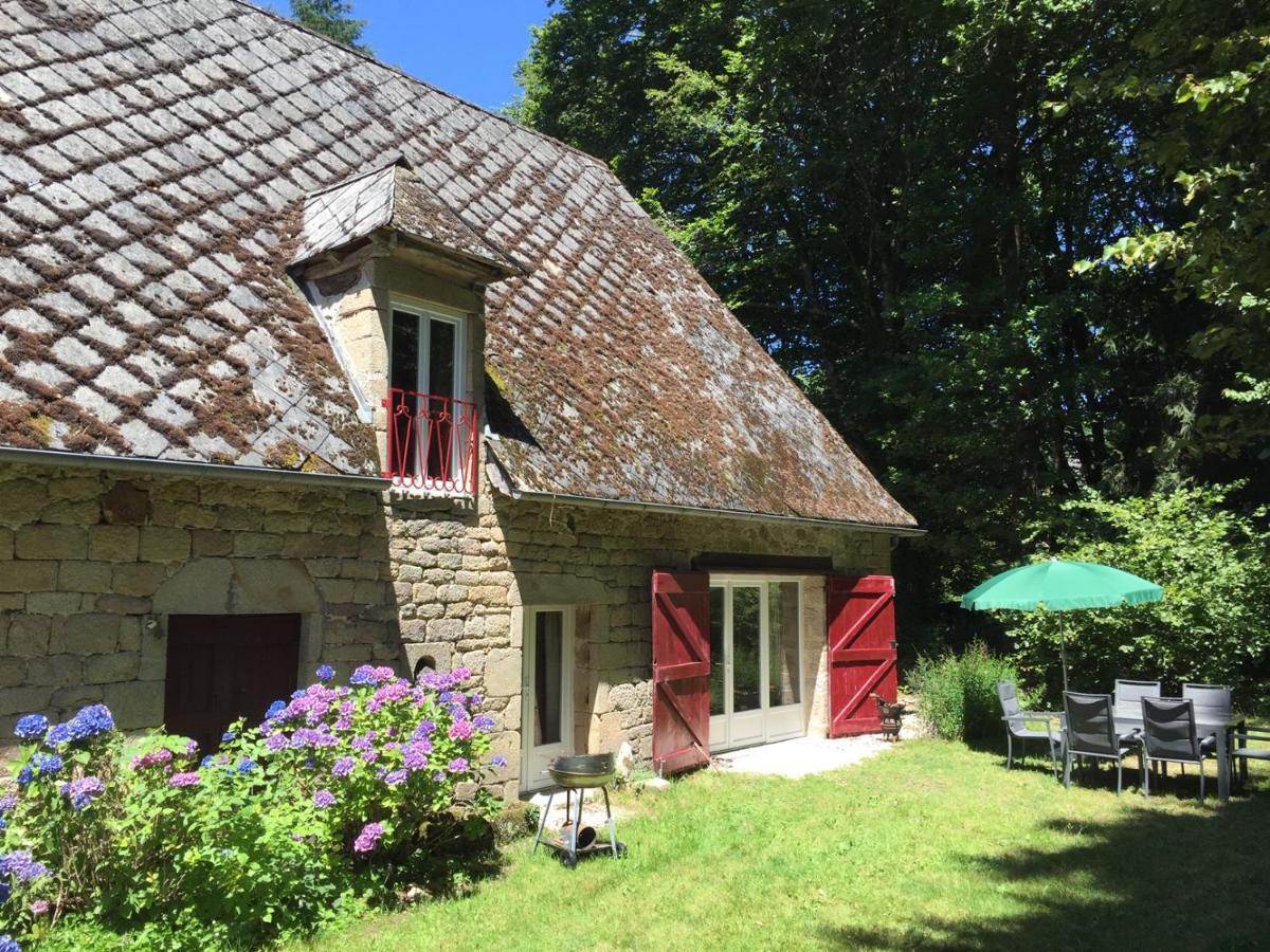 Gites Chateau le Bois Saint-Julien-aux-Bois Extérieur photo