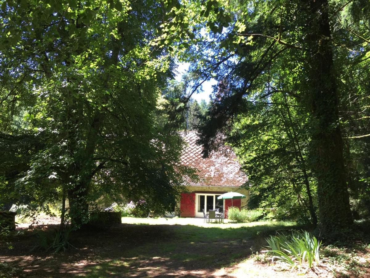 Gites Chateau le Bois Saint-Julien-aux-Bois Extérieur photo
