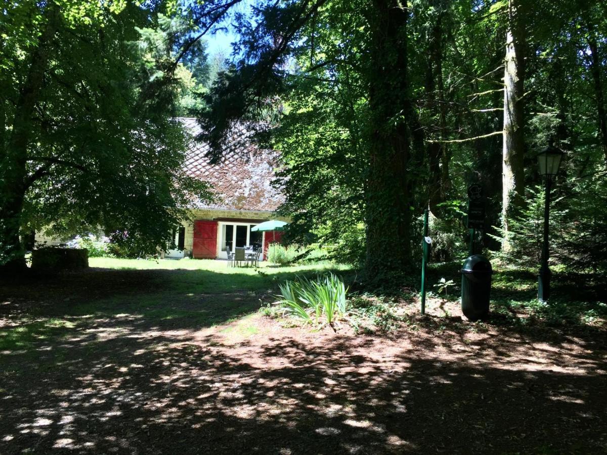 Gites Chateau le Bois Saint-Julien-aux-Bois Extérieur photo