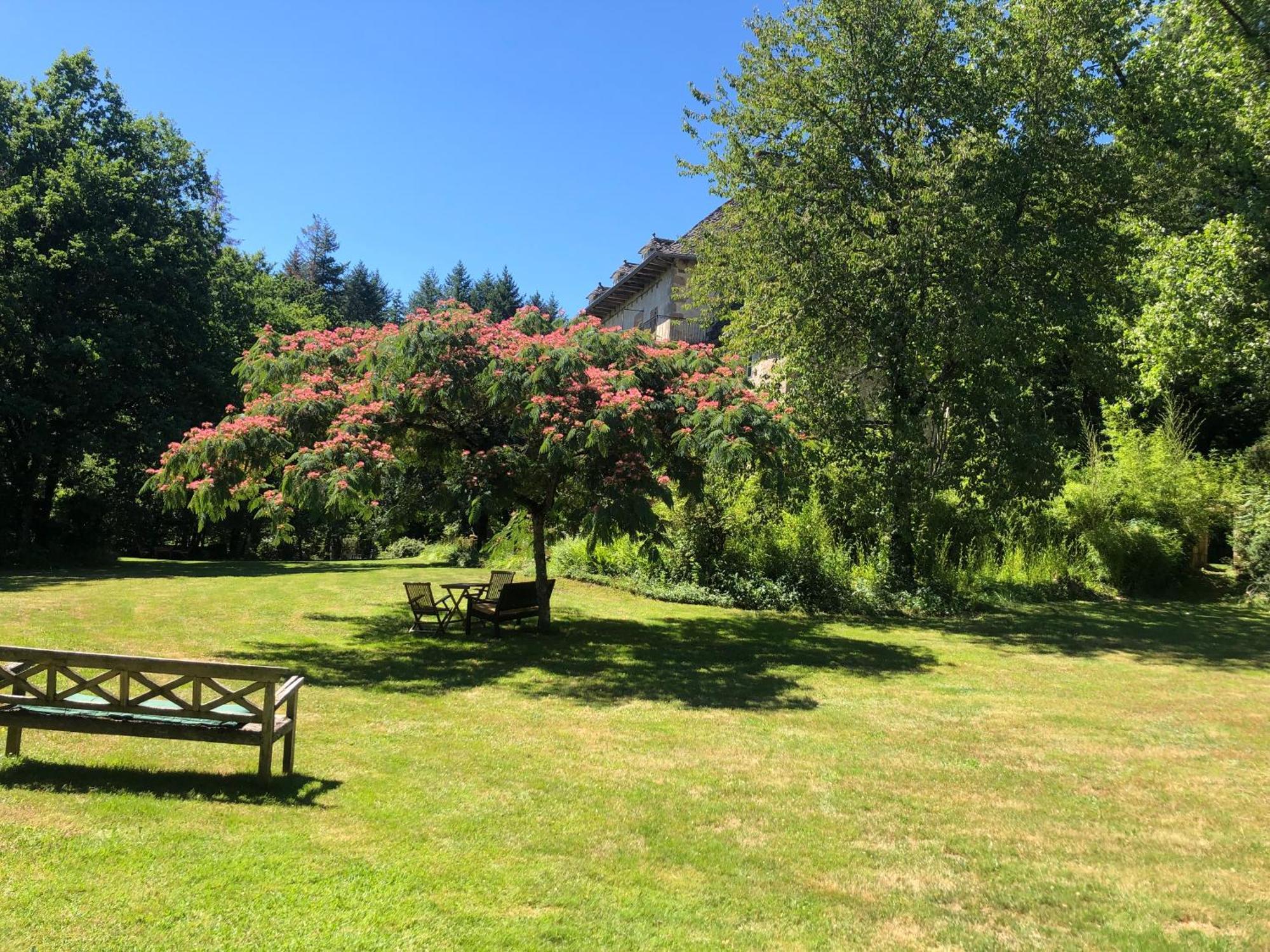 Gites Chateau le Bois Saint-Julien-aux-Bois Extérieur photo
