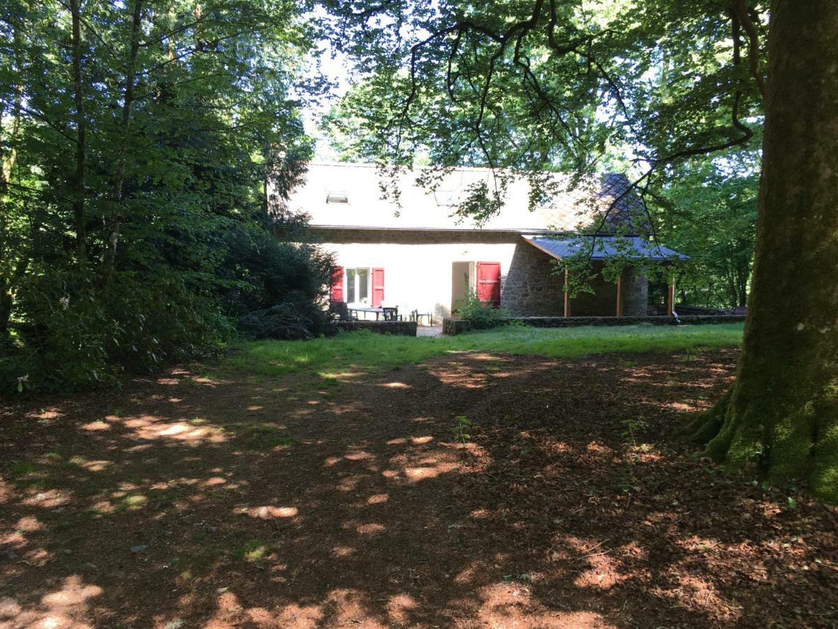 Gites Chateau le Bois Saint-Julien-aux-Bois Extérieur photo
