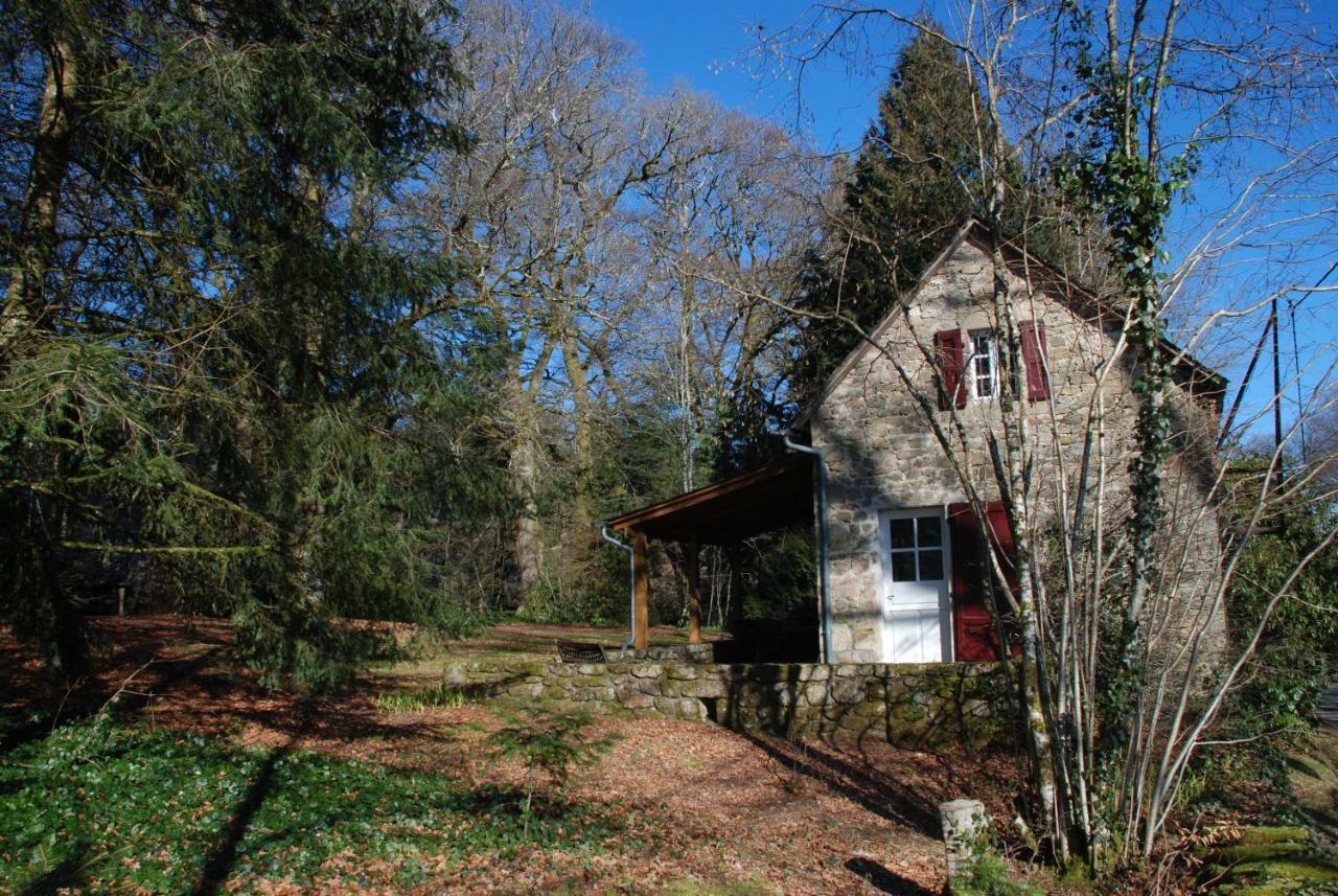 Gites Chateau le Bois Saint-Julien-aux-Bois Extérieur photo